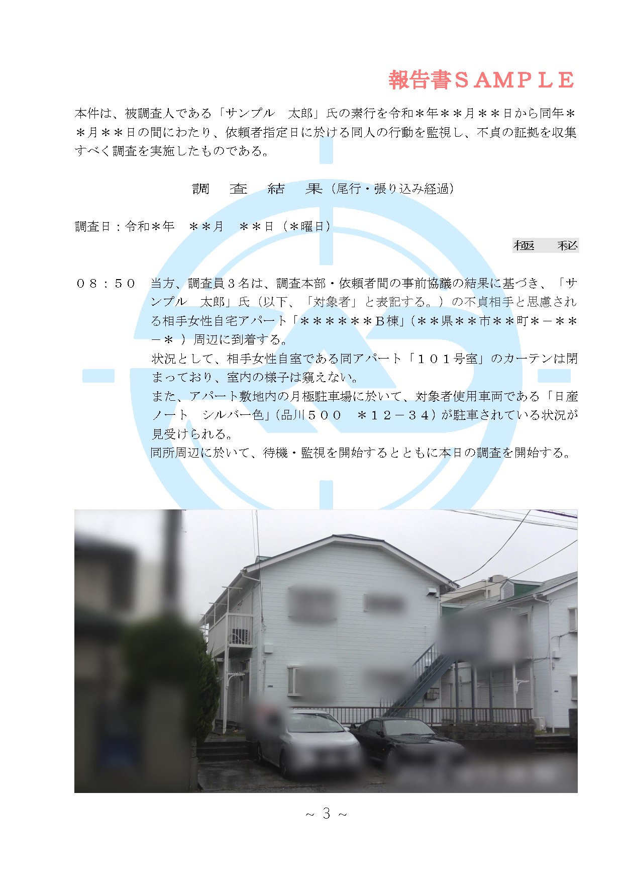 調査報告書サンプル 調査詳細・時系列記録